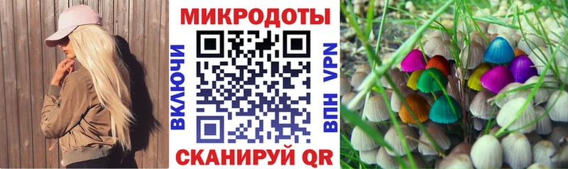 Псилоцибиновые грибы мицелий Кемерово